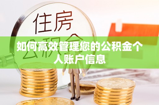 怀来如何高效管理您的公积金个人账户信息