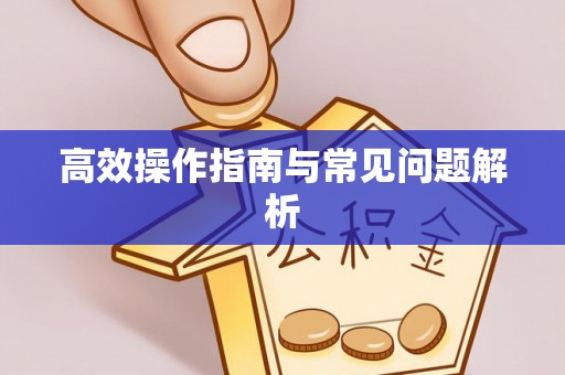 怀来高效操作指南与常见问题解析