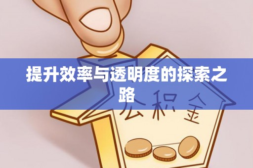 怀来提升效率与透明度的探索之路