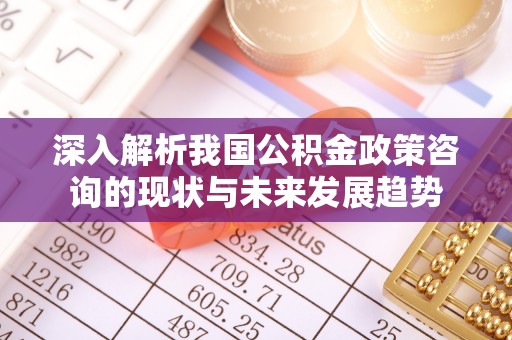 怀来深入解析我国公积金政策咨询的现状与未来发展趋势