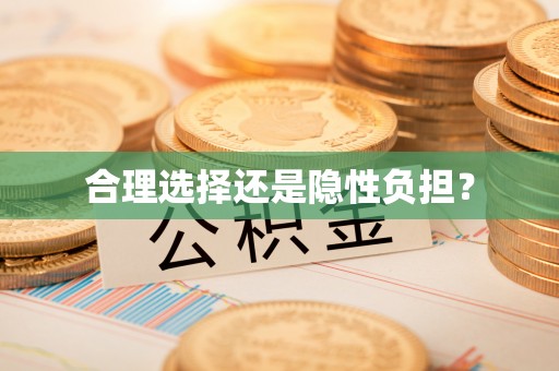 怀来合理选择还是隐性负担？
