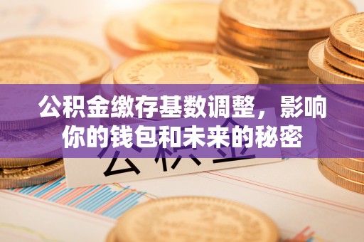 怀来公积金缴存基数调整，影响你的钱包和未来的秘密