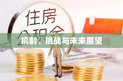 怀来机制、挑战与未来展望